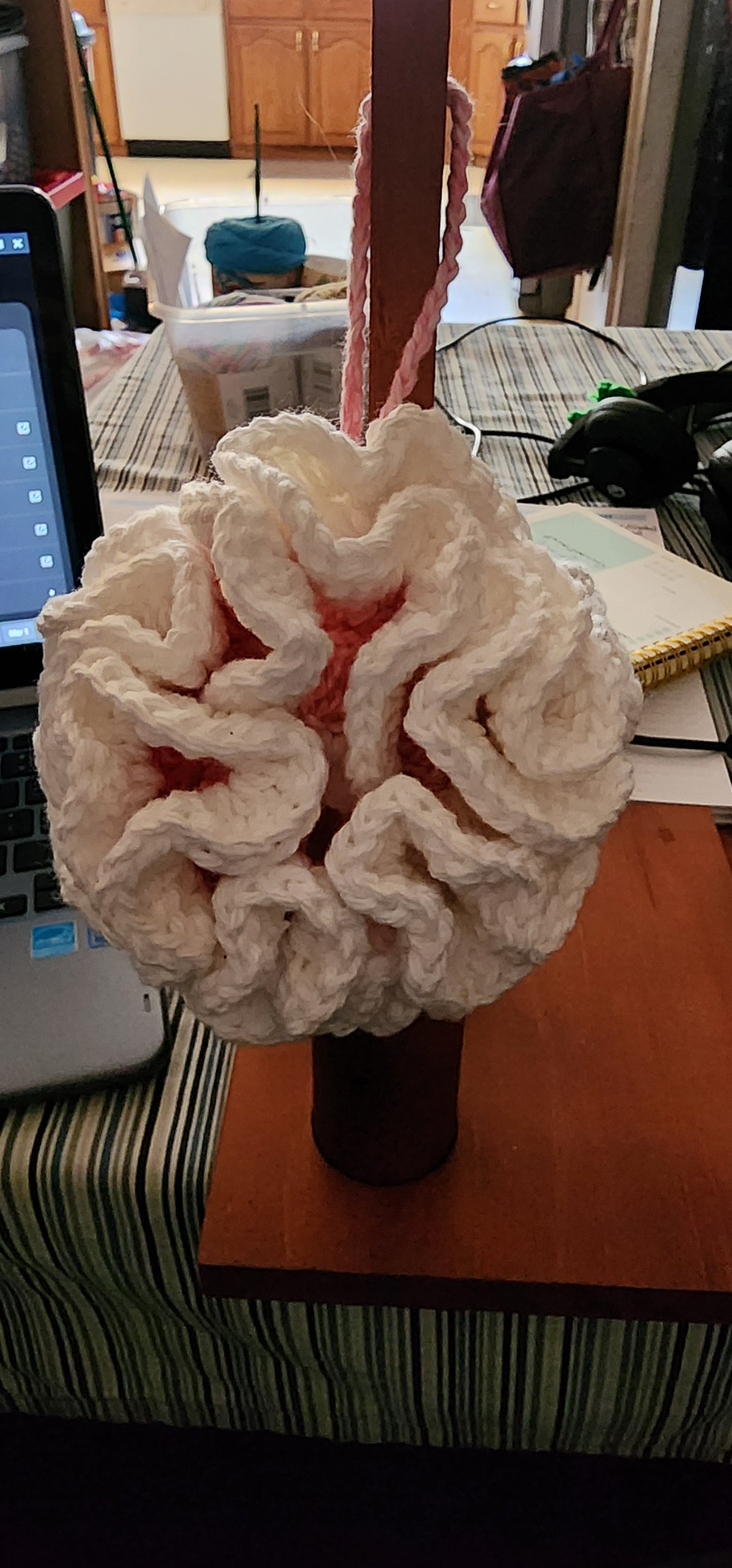 Loofah
