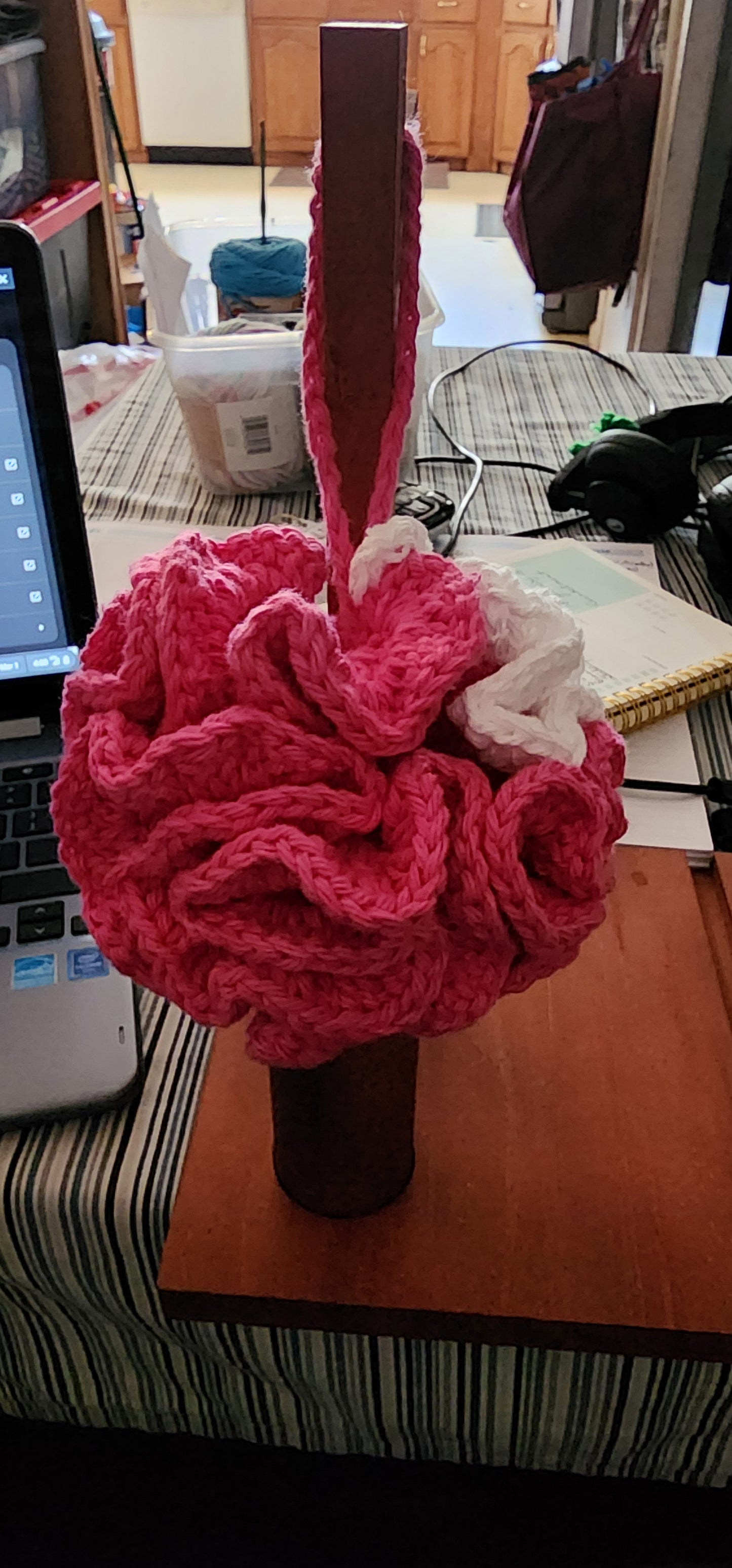 Loofah