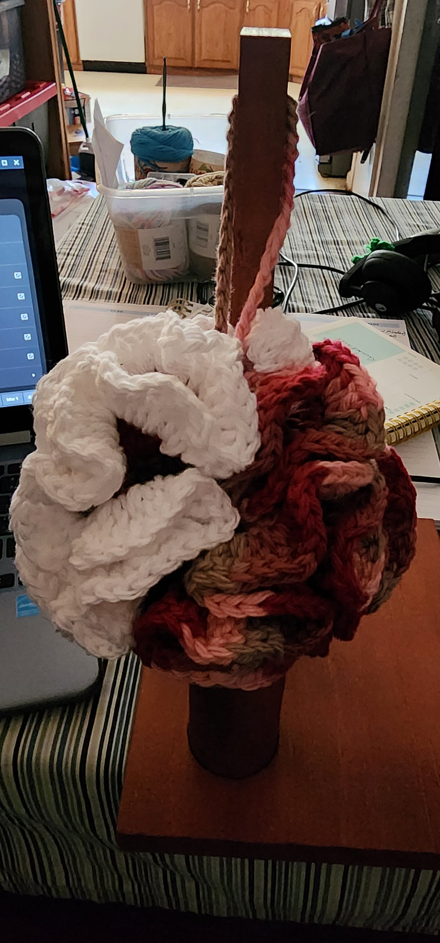 Loofah