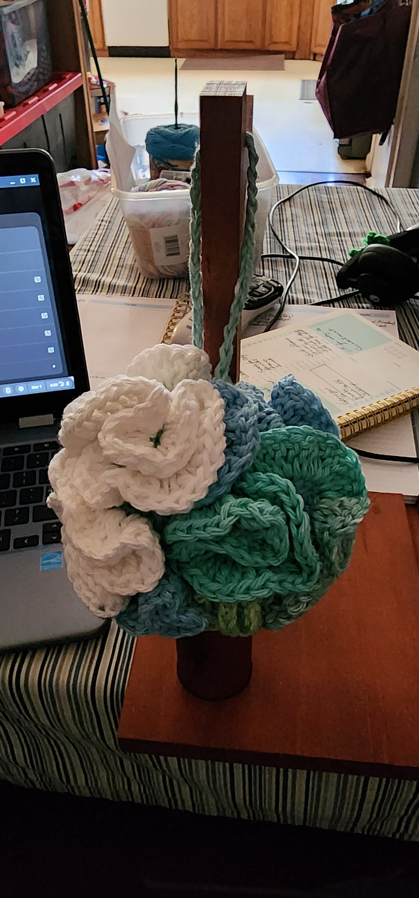 Loofah
