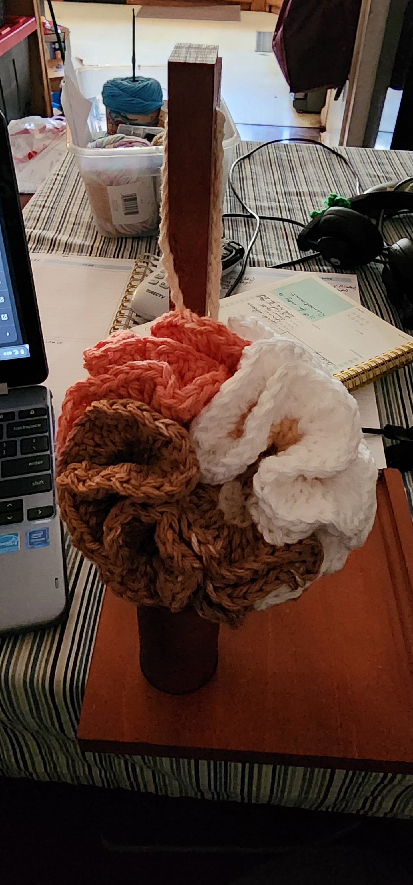 Loofah