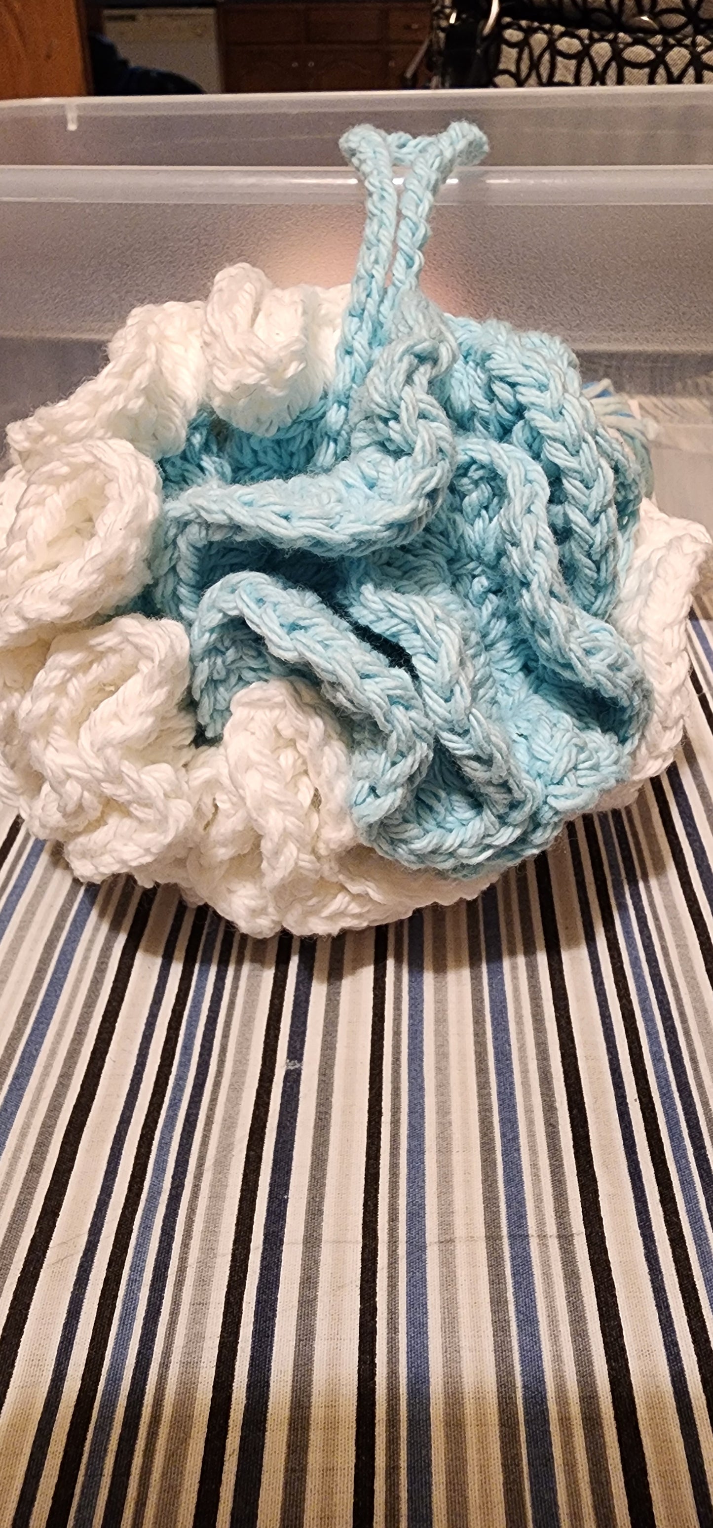 Loofah