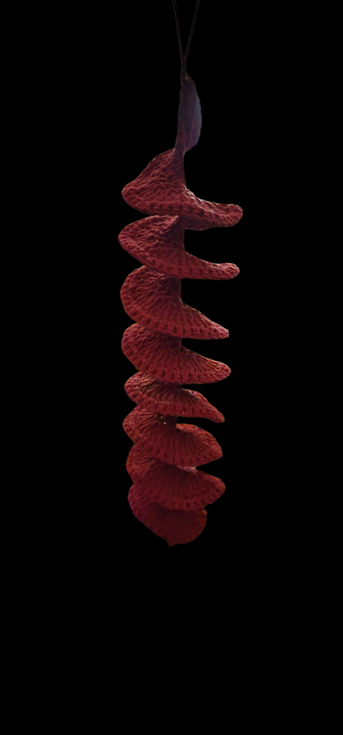 Wind Spinner