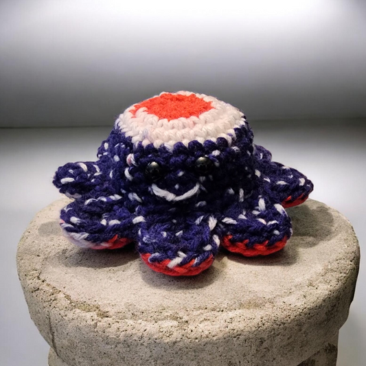 Reversible Octo Friend